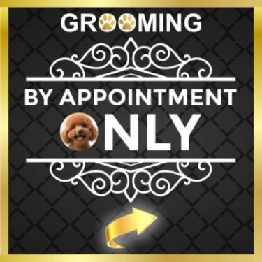 Grooming by Appointment Only