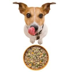 Human Grade Dog Food