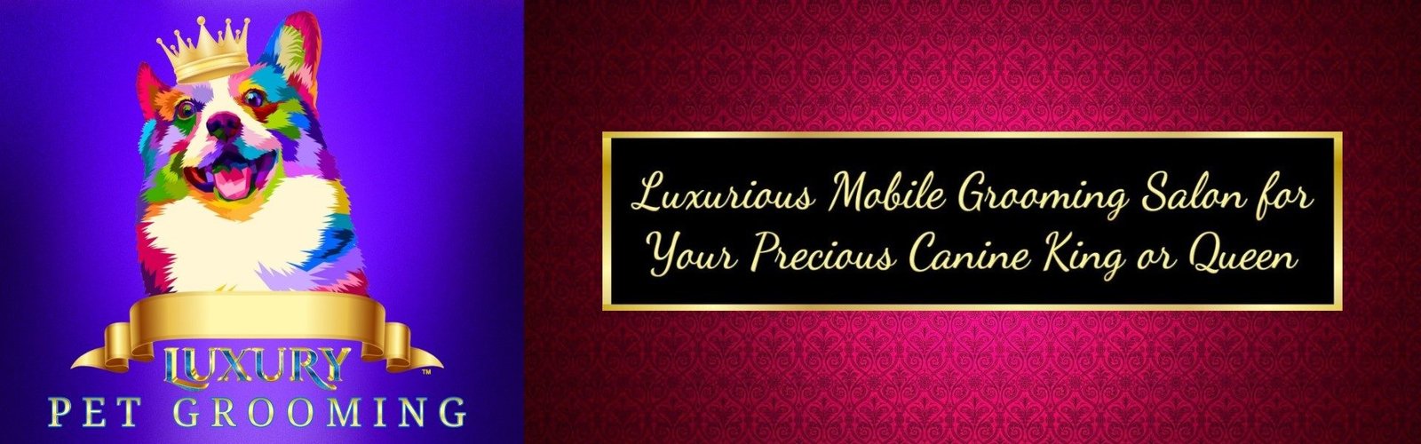 Luxury Pet Grooming Mobile Salon